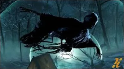 Dans le troisième tome, comment appelle-t-on les animaux qui peuvent t'aspirer l'âme ?