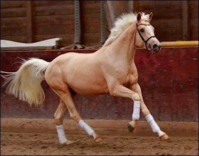 Quelle est cette robe ?