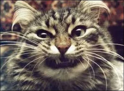 Elle s'est exclam&eacute;e en criant : "(...) vengeance sera terrible !"