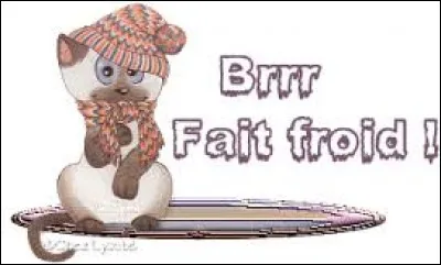 Je lui ai pr&ecirc;t&eacute; (...) veste pour qu'elle n'attrape pas froid.