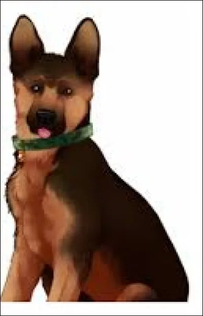 Cookie est le chien de/d'...