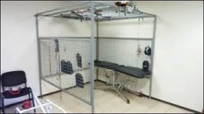 Comment appelle-t-on cette cage souvent présente dans les salles de rééducation ?