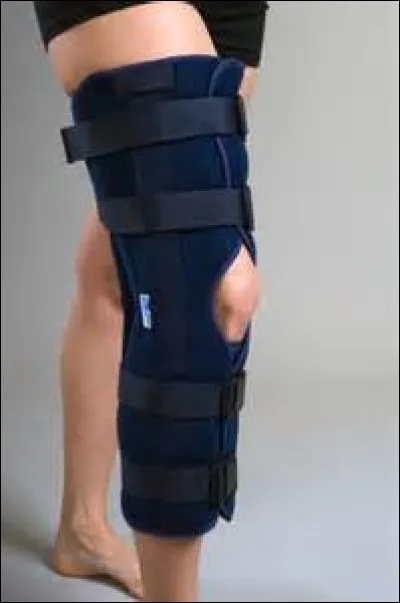 Que voyez-vous sur cette photo ?