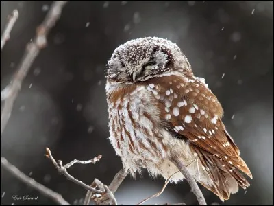On y discute bout de gras.