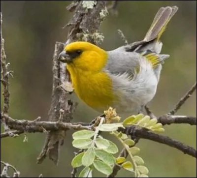 Il faut mettre la gomme pour en venir &agrave; bout.
