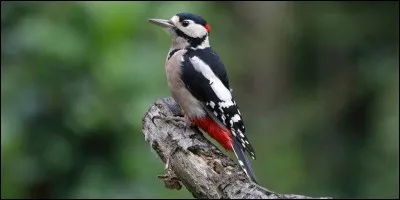 Accueil du bout des l&egrave;vres.