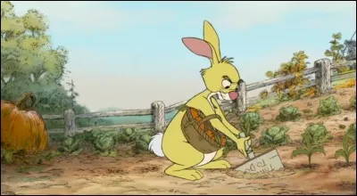 Où risquez-vous de rencontrer Coco lapin ?