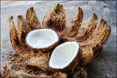 Dans un slogan publicitaire, vous entendrez "T'as le tube coco !" Mais le tube de quoi ?