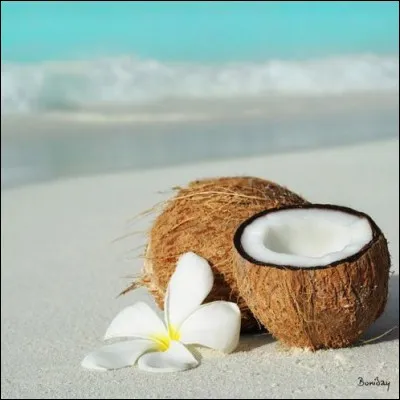 Il a écrit une nouvelle nommée "Coco", mais peut-être vous serai-je plus utile si je vous dis qu'on lui doit "Boule de suif" ou "Bel ami" ?