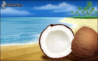 Sur quel arbre pousse la noix de coco ?