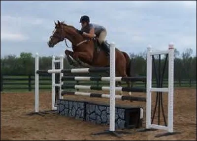 Comment s'appelle cet obstacle ?