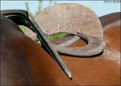 Comment s'appelle la base d'une selle ?