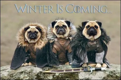 Trouve le nom de cette série télévisée !