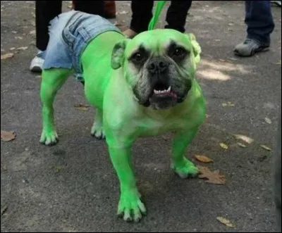 Trouve le nom de ce personnage fictif !