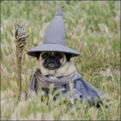 A quel film te fait penser l'image ?