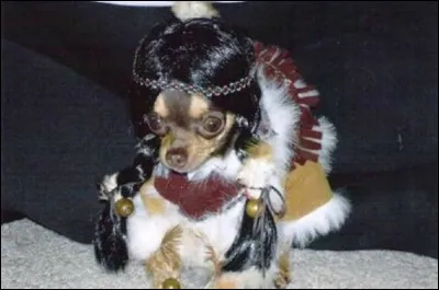 A quelle princesse Disney pense-tu ?