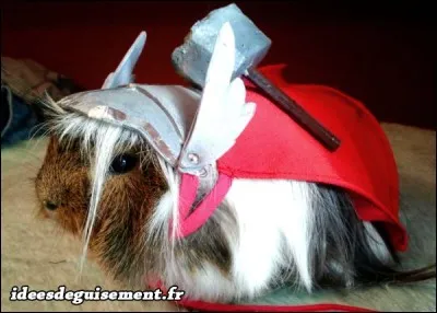 Tu l'as vu au cinéma, il fait partie des légendes nordiques !