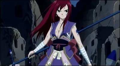 Quelle est cette armure ?