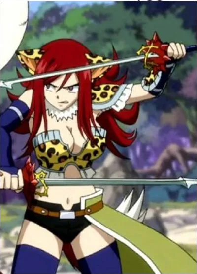 Quelle est cette armure ?