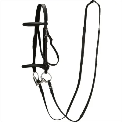 Comment s'appelle cet harnachement ?