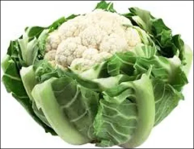 Ce fruit est un poireau. Vrai ou faux ?