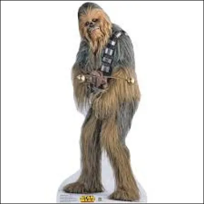 Quelle est l'espèce de Chewbacca ?