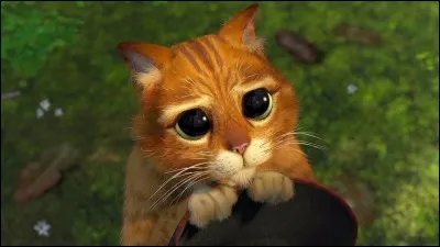 Au sens figuré, qui a perdu sa jeunesse : dé...