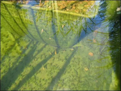 Si je vous dis : « ufs à l'eau », vous répondez :