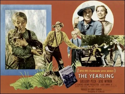 Si je vous dis : « Ne porte pas encore de bois dans la forêt », vous répondez :