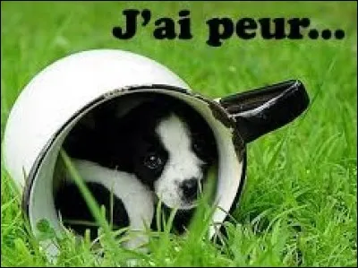 Pourquoi la peur (phobie) de rougir en public se nomme-t-elle l'éreutophobie ?