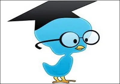 De quelle nature grammaticale est "pourquoi" dans cette phrase : "la raison pourquoi je fais des quiz est le plaisir" ?