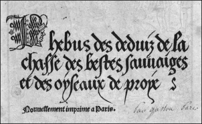 Il peut arriver, en lisant un quizz, que vous trouviez que l'auteur "donne dans le phébus". Mais qu'entend-on par là ?