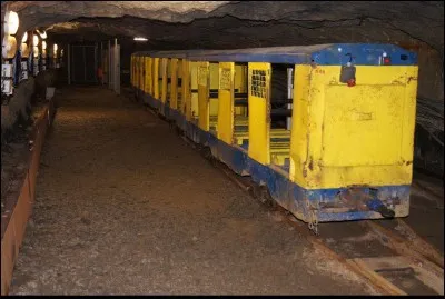 Haut-lieu touristique du Maine-et-Loire. La Mine Bleue et son funiculaire vous m&egrave;nent &agrave; 130 m&egrave;tres sous terre. Quel &eacute;tait le r&ocirc;le de la Mine Bleue jusqu'en 1930 ?