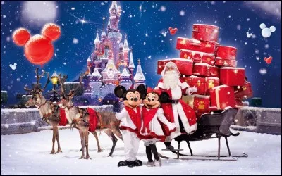 De quelle(s) couleur(s) les décorations de ton sapin de Noël seront-elles ?