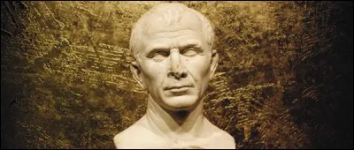 Rouge, violet ou vert, je pousse en masse et l'on m'utilise pour confectionner de l'alcool. Qui suis-je ?