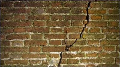 Mon goût est acidulé et sucré, je suis parfois issue de la ronce. Qui suis-je ?