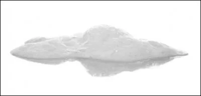 Mon autre petit nom est "pomélo", j'ai deux variétés : l'une asiatique et l'autre occidentale. Qui suis-je ?