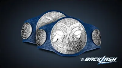 Qui sont les premiers "Smackdown Tag Team Champions" 2016 à Smackdown?