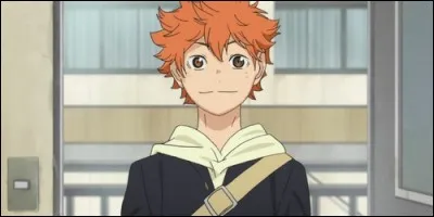 Comment se nomme cet anime où le jeune Hinata entre à Karasuno pour jouer au volley-ball ?