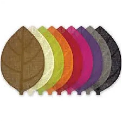 Trouvez la bonne orthographe !