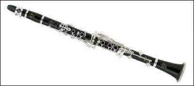 Quel est ce bel instrument ?