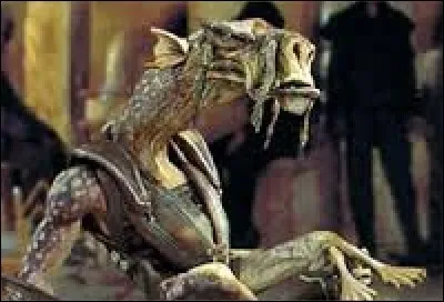 Quelle est cette espèce ?