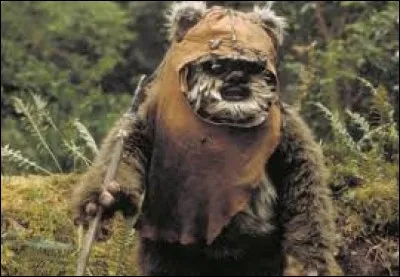 De quelle espèce est-il ?