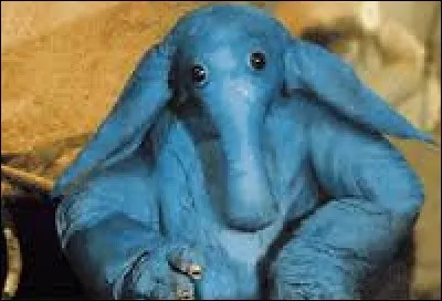 De quelle espèce est-il ?