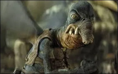 De quelle espèce est-il ?