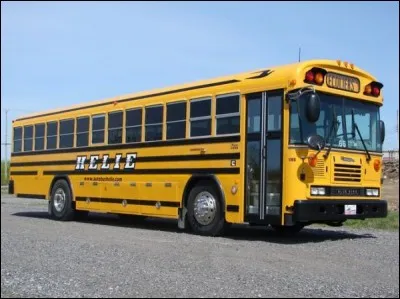 Le mot "autobus" est-il féminin ou masculin ?