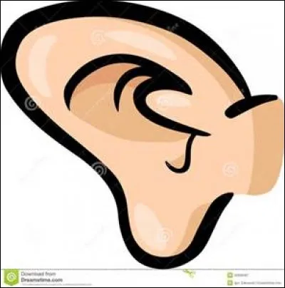 Qu'est-ce qu'une bougie d'oreille ?