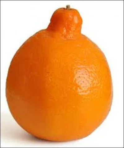 Ce fruit ressemblant à une orange se nomme :