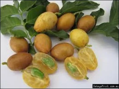 Et celui-là, quel est-il ?