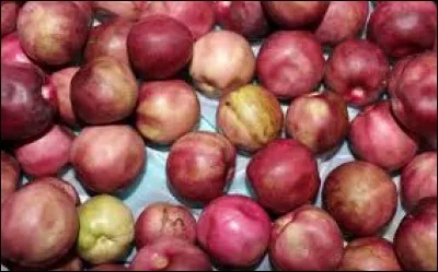 Désolée, j'ai sauté la lettre H car je ne trouvais pas de fruit en H. Du coup, on passe directement au fruit en I qui se nomme l'...